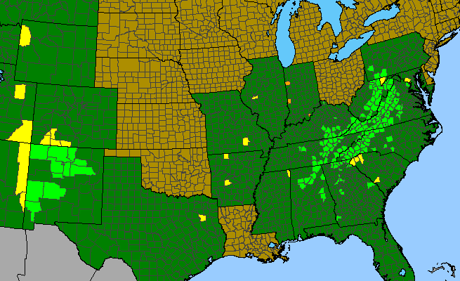 The range of Trautvetteria caroliniensis